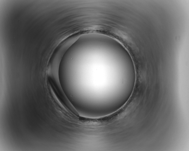 X0000088741073200705311443