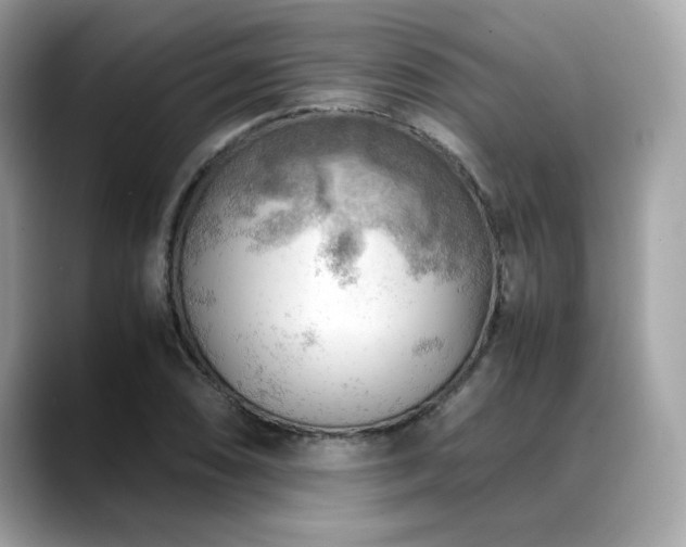 X0000088741074200705311443