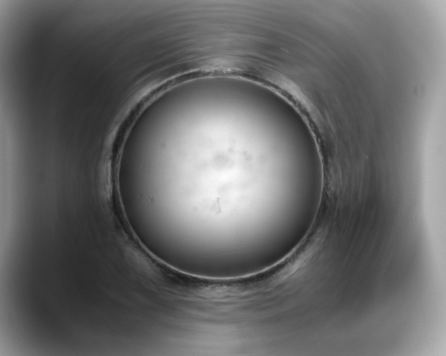 X0000088741075200705311443