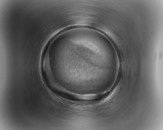 X0000088741077200705311443