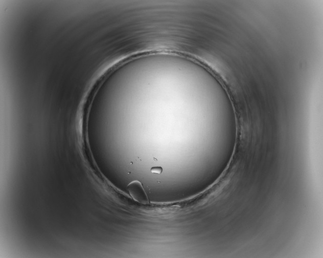 X0000088741078200705311443