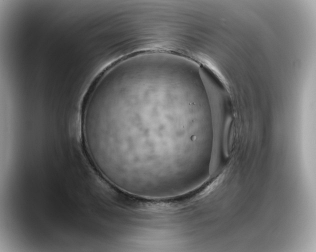 X0000088741079200705311443