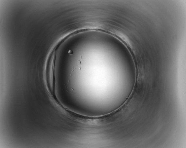 X0000088741080200705311443