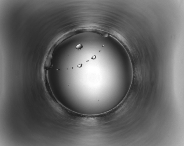 X0000088741082200705311443