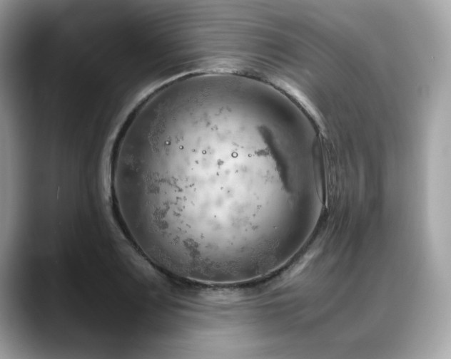 X0000088741083200705311443