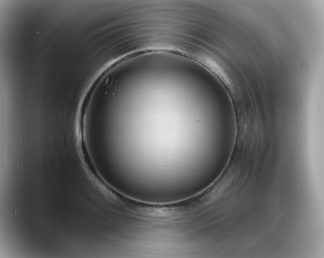 X0000088741084200705311443