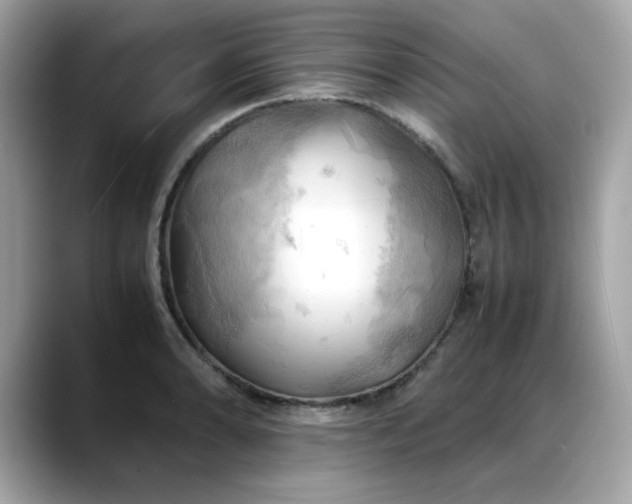 X0000088741086200705311443