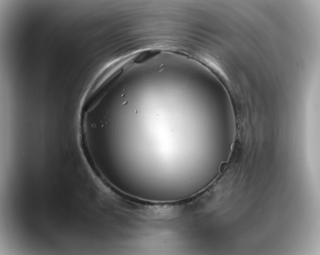 X0000088741087200705311443