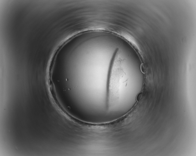 X0000088741088200705311443