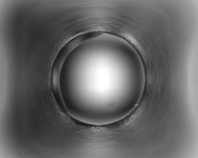 X0000088741089200705311443