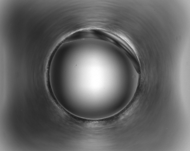 X0000088741093200705311443