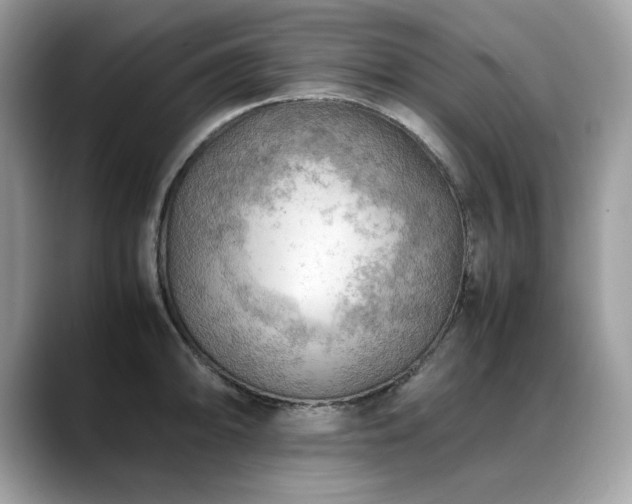 X0000088741094200705311443