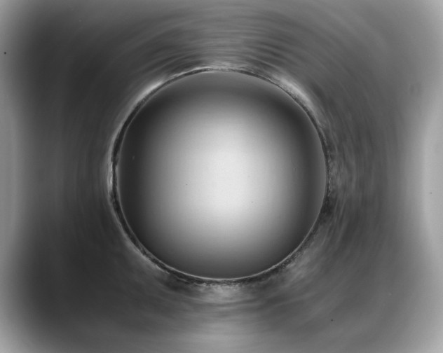 X0000088741095200705311443
