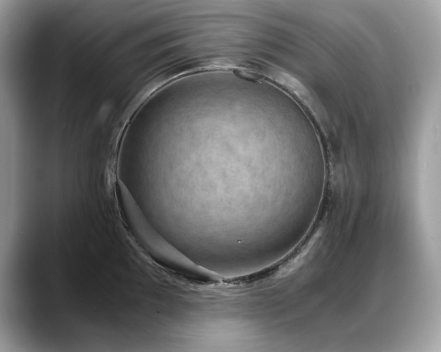 X0000088741097200705311443
