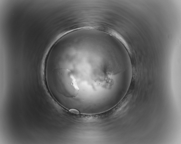 X0000088741099200705311443
