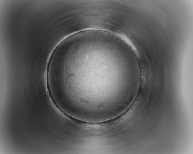 X0000088741100200705311443