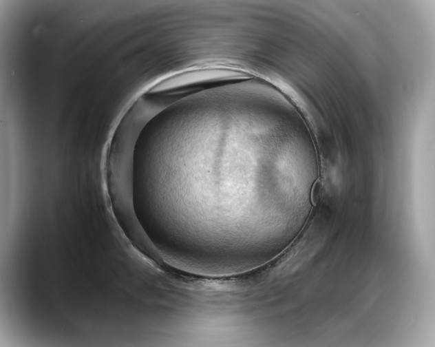 X0000088741102200705311443