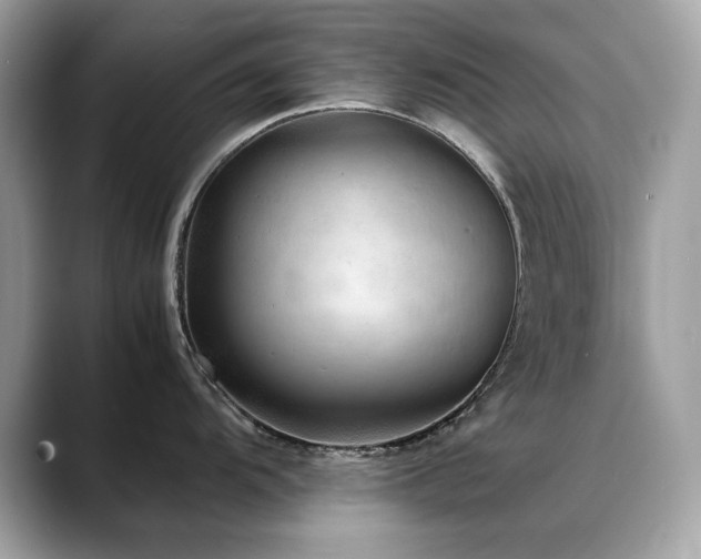 X0000088741104200705311442