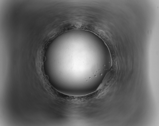 X0000088741105200705311442