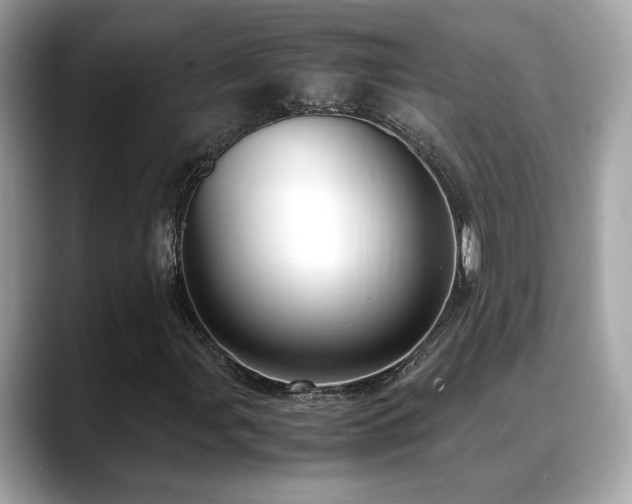 X0000088741107200705311442