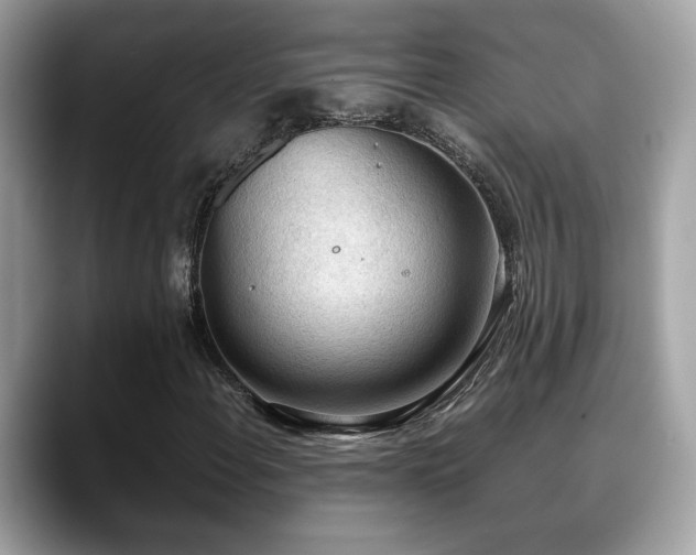 X0000088741108200705311442