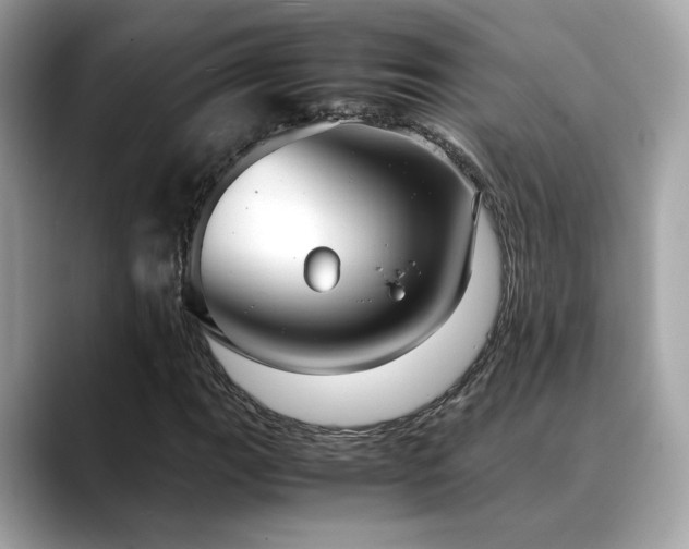 X0000088741111200705311442