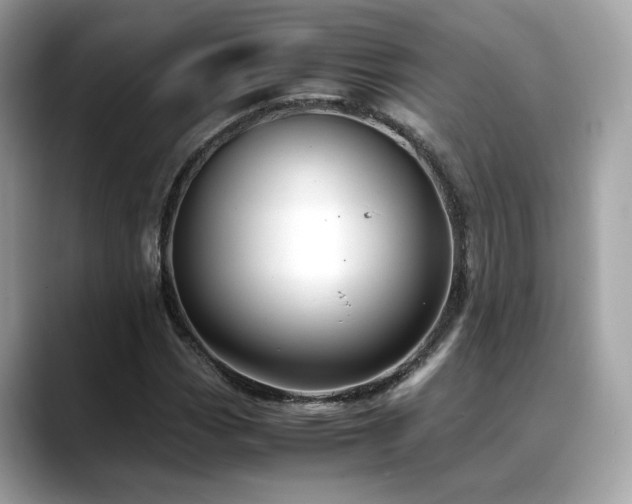 X0000088741113200705311442