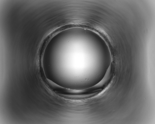 X0000088741114200705311442