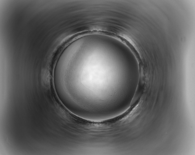 X0000088741115200705311442