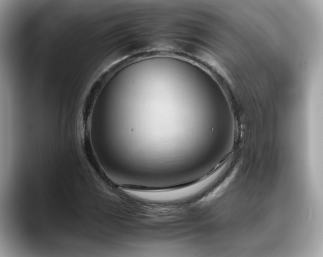 X0000088741117200705311442