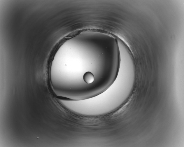 X0000088741119200705311442