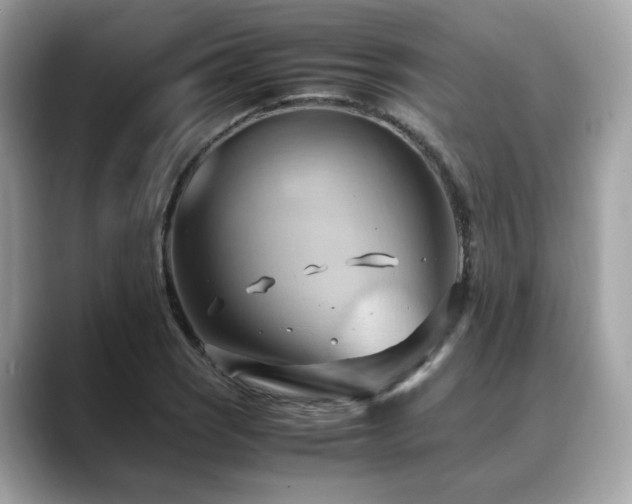 X0000088741121200705311442
