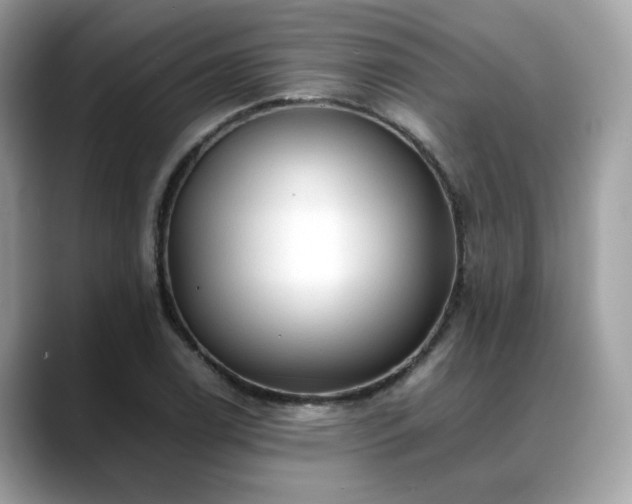 X0000088741122200705311442