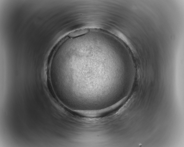 X0000088741124200705311442