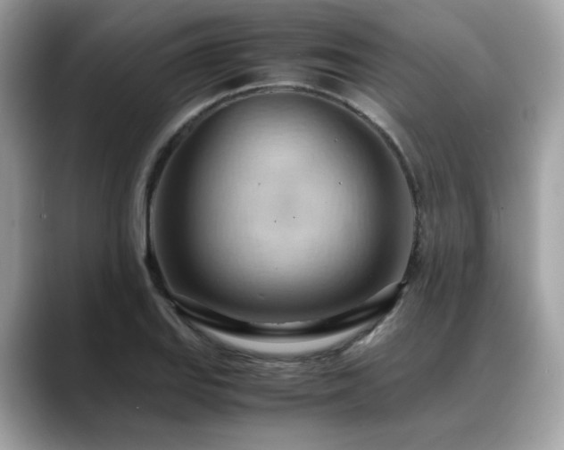 X0000088741127200705311442