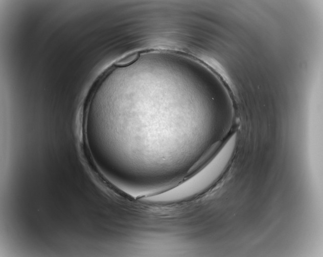 X0000088741128200705311442