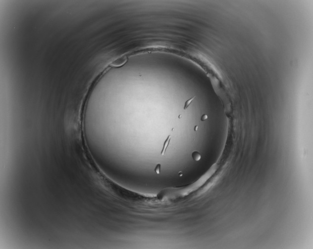 X0000088741129200705311442