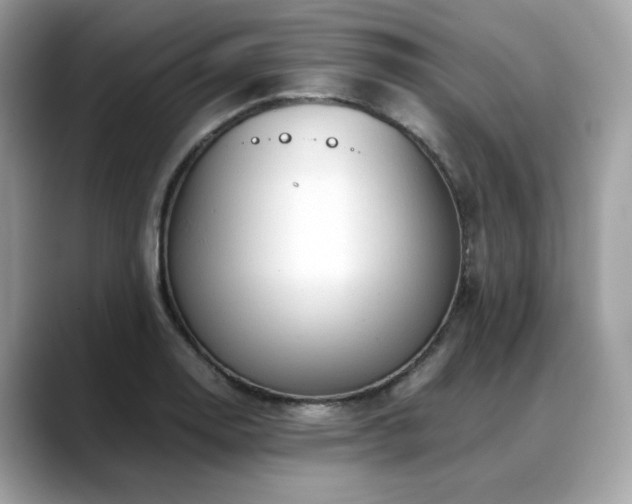X0000088741130200705311442