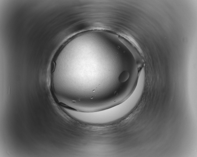 X0000088741132200705311442