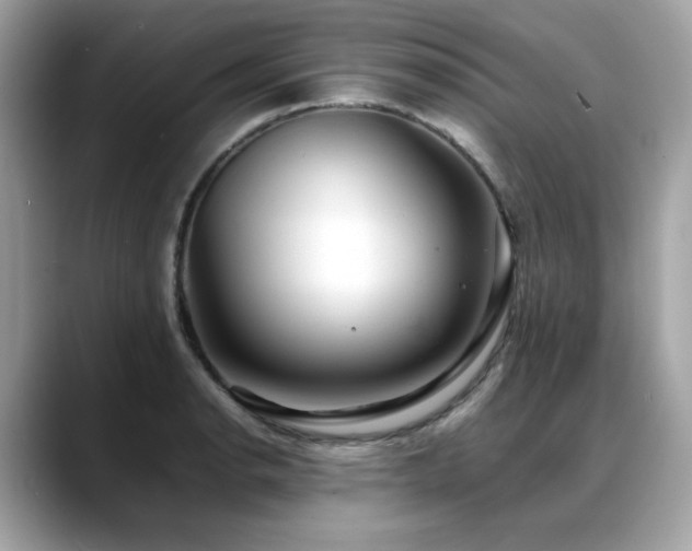 X0000088741134200705311442