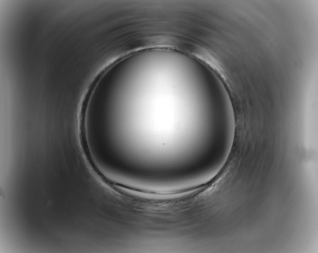 X0000088741135200705311442