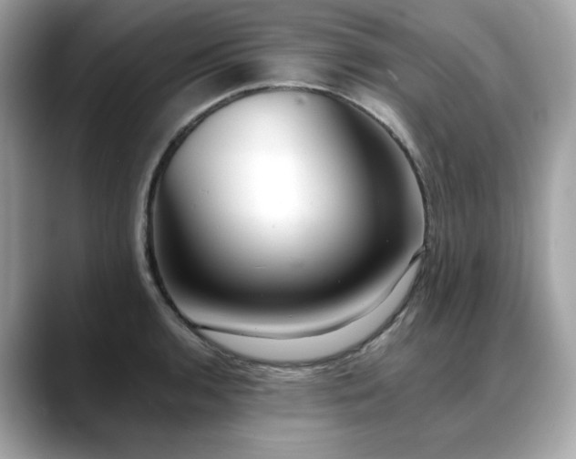 X0000088741136200705311442