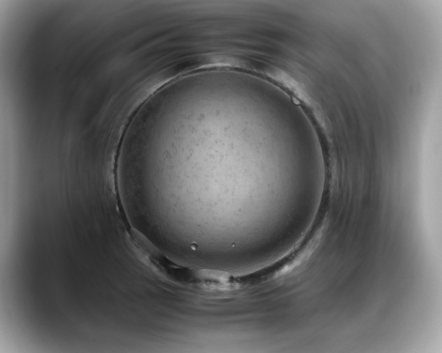 X0000088741137200705311442