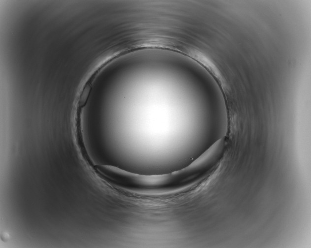 X0000088741138200705311442