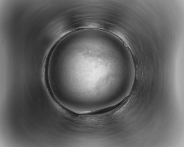 X0000088741139200705311442