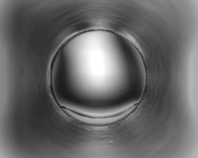 X0000088741140200705311442