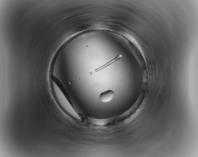 X0000088741141200705311442