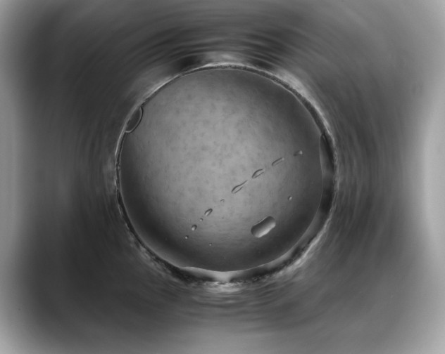 X0000088741145200705311442