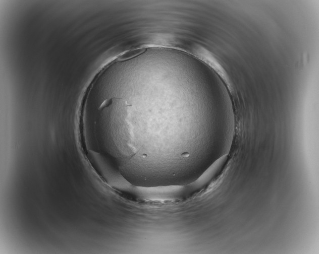 X0000088741146200705311442