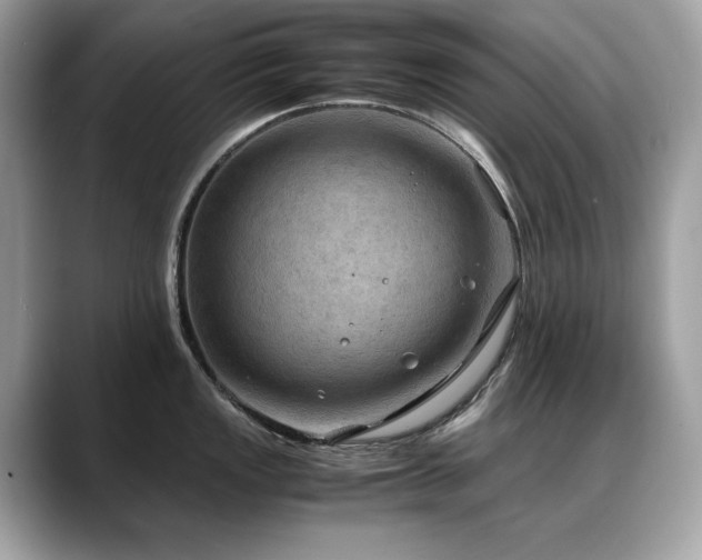 X0000088741149200705311442